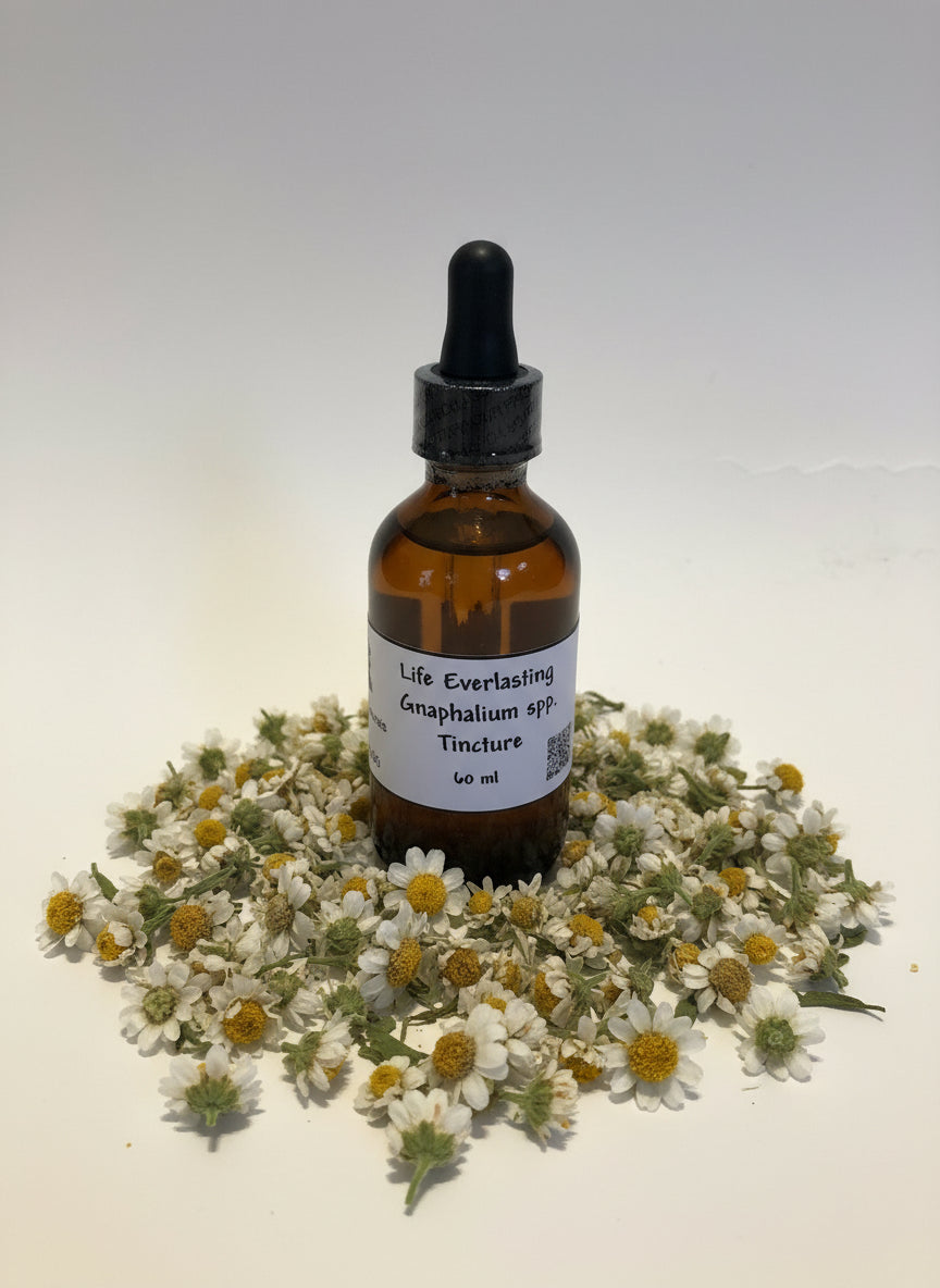 Life Everlasting Tincture