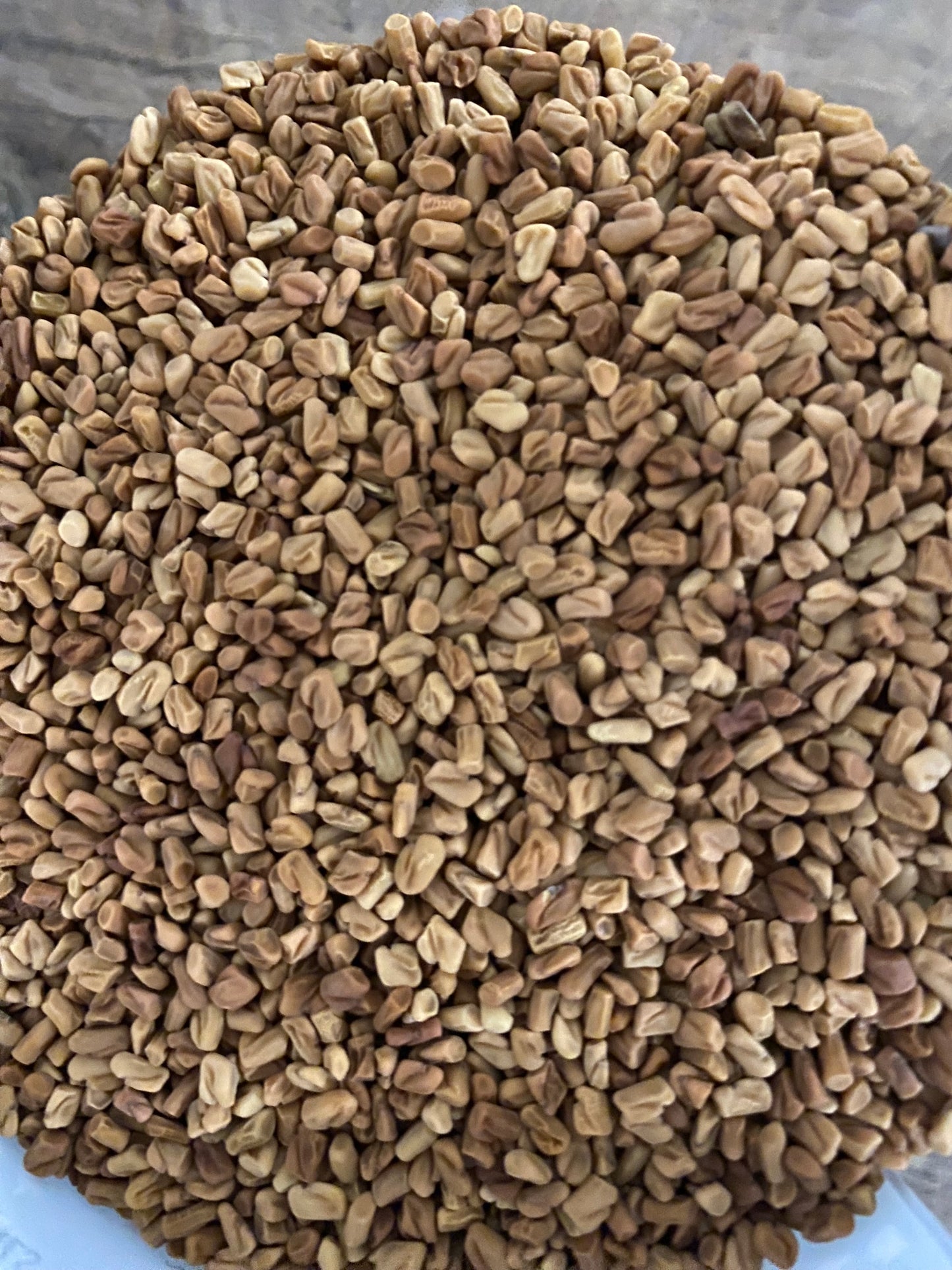 Organic Fenugreek Seeds