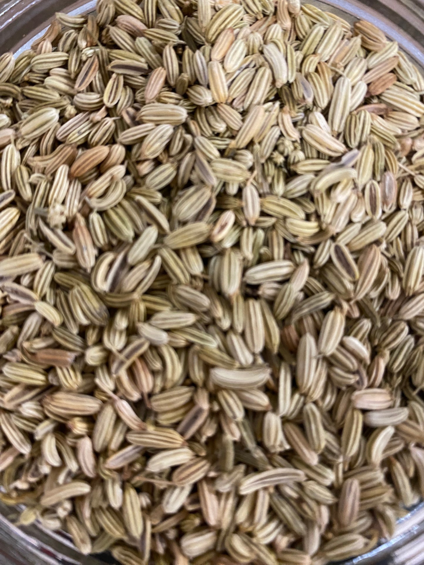 Organic Fennel Seed