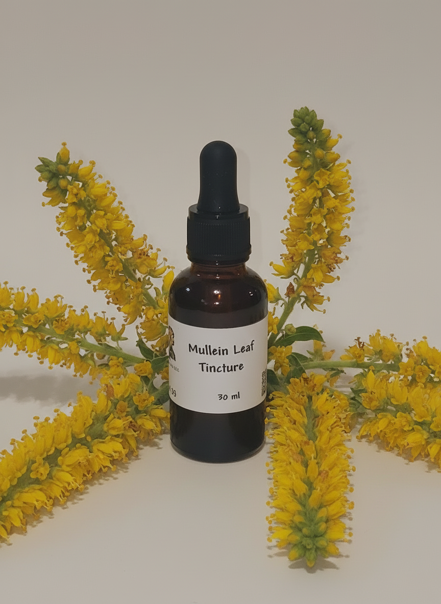 Mullein Tincture