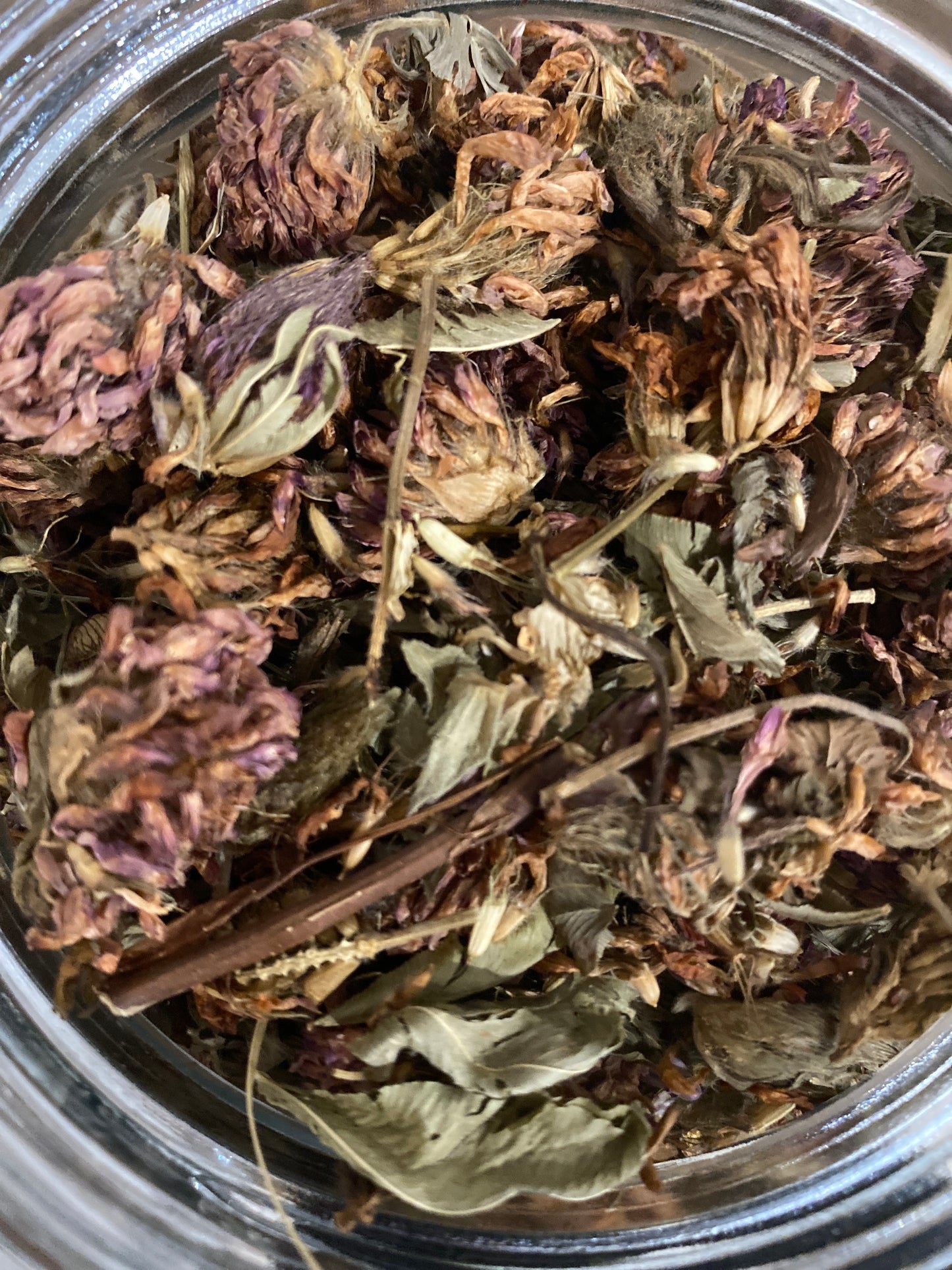 Organic Red Clover Flower